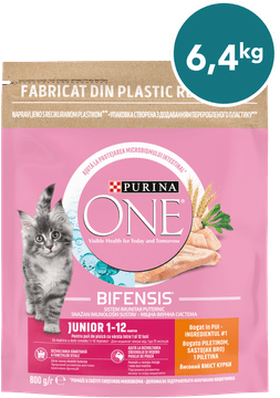 Purina ONE Junior suha hrana za mačiće, s piletinom, 8x800g