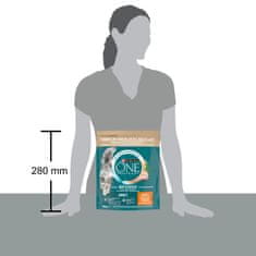 Purina ONE Bifensis Adult suha hrana za odrasle mačke, s piletinom, 8 x 800 g