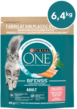Purina ONE Bifensis Adult suha hrana za odrasle mačke, s lososom, 8 x 800 g