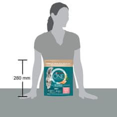 Purina ONE Bifensis Adult suha hrana za odrasle mačke, s lososom, 8 x 800 g