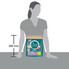 Purina ONE Bifensis Sensitive suha hrana za odrasle mačke, s puretinom, 8 x 800 g