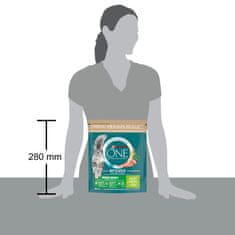 Purina ONE Bifensis Indoor Formula suha hrana za odrasle mačke koje borave u zatvorenom prostoru, s puretinom, 8x800g