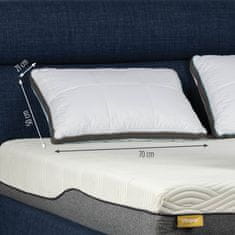 Vitapur MemoSilver Premium jastuk za spavanje, 50x70cm