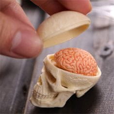 JOJOY® 3D anatomski model ljudskog tijela s uklonjivim organima, edukativni set za djecu 6+ | FLESHTOPIA