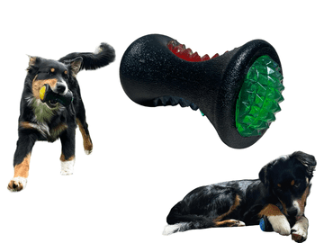 Nikcorp Igračka za pse lopta, svjetleća, za masažu desni i čišćenje zubi, plutajuća, za aportiranje, izdržljiva guma, 12 cm