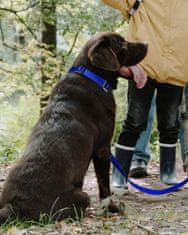 Nikcorp Reflektirajuća najlonska ogrlica za pse s brzom kopčom, podesiva za sigurnost noću, izdržljiva i lagana, kraljevski plava L