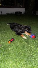 Nikcorp Interaktivna lopta za pse i mačke, svjetleća, za masažu desni i čišćenje zubi, plutajuća, izdržljiva guma, 8 cm