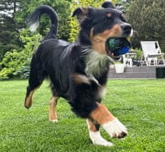 Nikcorp Interaktivna lopta za pse i mačke, svjetleća, za masažu desni i čišćenje zubi, plutajuća, izdržljiva guma, 8 cm