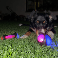 Nikcorp Interaktivna lopta za pse i mačke, svjetleća, za masažu desni i čišćenje zubi, plutajuća, izdržljiva guma, 8 cm