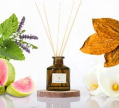 Nikcorp Difuzor mirisa s štapićima, luksuzni hotelski miris duhana i guave, dugotrajno osvježenje do 672 sata, elegantan poklon