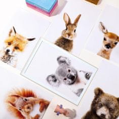 Nikcorp Set 6 ukrasnih postera za dječju sobu, zidna dekoracija sa životinjama, visoka kvaliteta tiska, idealan poklon, 20x30 cm