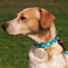 Nikcorp Ogrlica za pse, najlonska podesiva s kopčom, za svakodnevne šetnje i plivanje, opseg vrata 30,5-40,6 cm, šareni uzorak