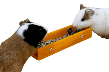 Nikcorp Hranilica za glodavce i kuniće za zid kaveza, higijensko hranjenje bez rasipanja, za zamorce i zečeve, žuta 23x6x4 cm