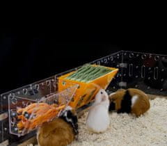 Nikcorp Hranilica za sijeno za glodavce, zečeve i zamorce, zidna montaža za kavez, higijenska i laka za čišćenje, žuta 24x13x13,5 cm