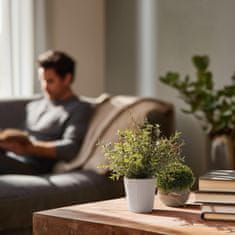 Nikcorp Umjetne biljke u tegli, set 4 kom, realističan izgled bez održavanja, dekoracija za ured, kupaonicu i dnevni boravak, zelene