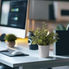 Nikcorp Umjetne biljke u tegli, set 4 kom, realističan izgled bez održavanja, dekoracija za ured, kupaonicu i dnevni boravak, zelene