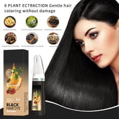 Nikcorp Šampon za bojanje kose s aplikatorom u obliku češlja, dugotrajna crna boja, brzo prekrivanje sijedih, za žene i muškarce, 200 ml