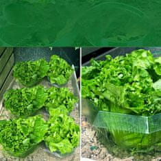 Nikcorp Ovratnici protiv puževa 20 kom, višekratna zaštita za vrt, salatu i cvijeće, PET plastika, prozirni, Ø 24 cm