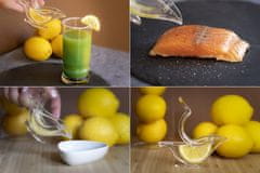 Nikcorp Cjedilo za limun u obliku ptice, akrilno, za lako cijeđenje soka iz citrusa, ergonomski dizajn, prozirno 11,9x5,4 cm