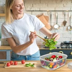 Nikcorp Set posuda za hranu s hermetičkim poklopcem, 5 komada, za organizaciju kuhinje, hladnjak i zamrzivač, BPA free, 2400/600/400 ml