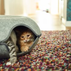 Nikcorp Ležaj za mačke tunel, udobno sklonište za odmor i igru, izdržljivi filc otporan na grebanje, sivi, 70x25x65 cm