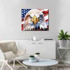 Nikcorp Slikanje po brojevima Bijeli orao i američka zastava, kreativni set za odrasle i djecu, DIY platno s akrilnim bojama, 40x50 cm