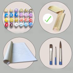 Nikcorp Slikanje po brojevima Žena i leptiri, kreativni set za opuštanje i dekoraciju, s platnom, akrilnim bojama i kistovima, 40x50 cm