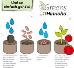 Nikcorp Set za uzgoj rajčica sa sjemenom, zemljom i jutom vrećom, kompletan početnički paket za balkon, vrt i prozorsku dasku