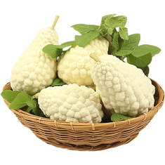 Nikcorp Sjemenke bijele gorke dinje (Karela), 10 kom, egzotično povrće za vrt i balkon, azijski specijalitet, penjačica