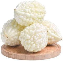 Nikcorp Sjemenke bijele gorke dinje (Karela), 10 kom, egzotično povrće za vrt i balkon, azijski specijalitet, penjačica