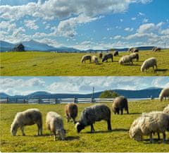 Reolink G770 CAMO IP kamera + solarni panel, 8MP 4K Ultra HD, 4G LTE, rotacija od 355°, dvosmjerna komunikacija