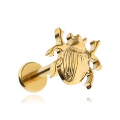 Titanski labret naušnica žuk zlatni piercing helix conch lobe 1,2/6