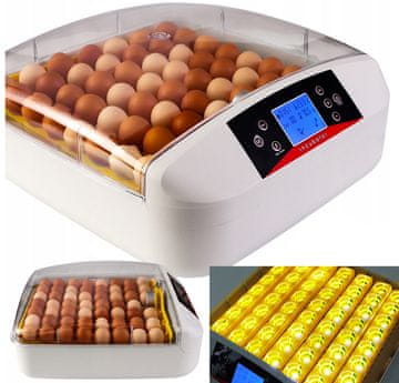 Inkubator Klujnik, valionica za jaja, valenje peradi i ptica, 56 kom, termostat LED