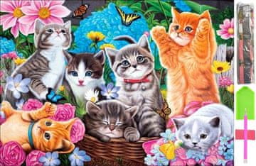 5d dijamantni mozaik set za slikanje, 40x60 cm