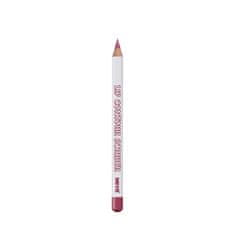 Miyo Lip Contour Scribber kontur za usne 08 Berries, 1,2 g