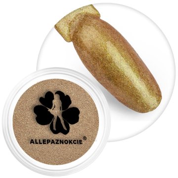 Allepaznokcie Puder za nokte s efektom kameleona br. 10