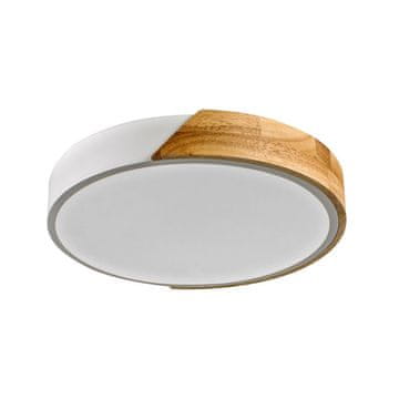 Italux Stropna lampa LED 24W Nastro PLF-13186-WH-WO Italux