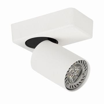Italux Reflektor Federica SPL-3001A-1-WH