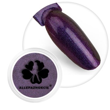 Allepaznokcie Chameleon premium AllepaNails ametist prah za nokte br. 4