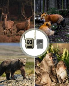 Polnilna baterija Reolink BP-10