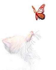 Nikcorp 5D dijamantno slikanje set za djecu i odrasle, kreativna DIY zabava i relaksacija, ukrasna slika lisica 30x40 cm