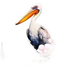 Nikcorp Slikanje po brojevima Roda - Kreativni set za opuštanje i DIY dekoraciju, akrilne boje i platno 40x50 cm