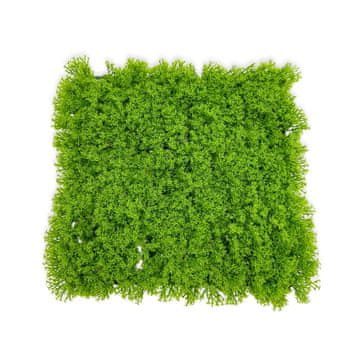 BIO BioPlant Background Umjetna podloga Modularna pozadina za terarij Svijetli lišaj 25x25cm