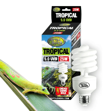 5.0 UVB 25W - Fluorescentna lampa za tropske gmazove | UVA + UVB