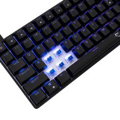 White Shark Tipkovnica GK-005122 HAMACHI Mehanicka RGB / HR - BLUE SW.