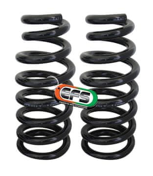 WD OPRUGA VW-100E