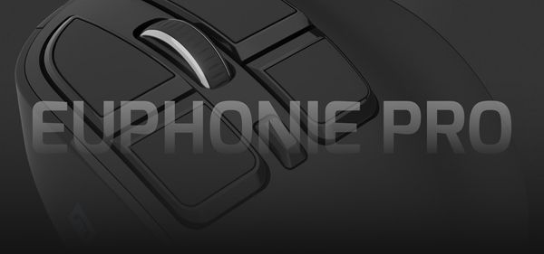 Brezčasna PRO oblika