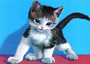 Mo Dijamantni vez Rascal Cat 30x40 cm