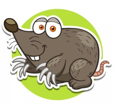 Mo Dijamantni vez Wayward Mole 25x25 cm