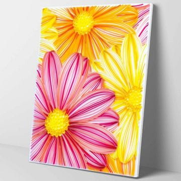 Mo Set za quilling Stripes Beautiful Flowers 40x50 cm
